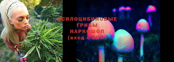 бошки Алзамай